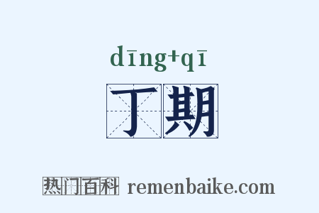 丁期是什么意思的图片